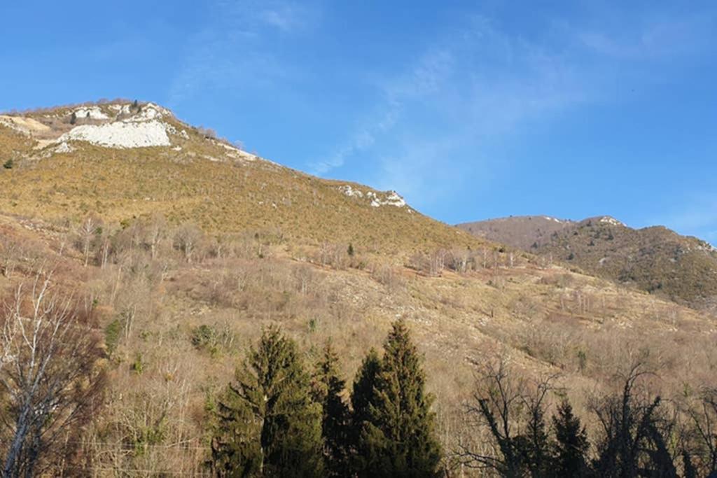 Appartement Cosy Au Pied Du Tourmalet Campan Kültér fotó